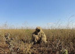 Маскировочная одежда для охоты в интернет-магазине в Волгограде, купить маскировочную сеть с доставкой картинка 14