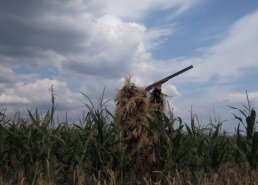 Маскировочная одежда для охоты в интернет-магазине в Волгограде, купить маскировочную сеть с доставкой картинка 46