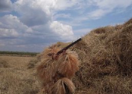 Маскировочная одежда для охоты в интернет-магазине в Волгограде, купить маскировочную сеть с доставкой картинка 28