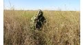 Маскировочный халат Taganrog Кикимора – купить по цене 3550 руб. в интернет-магазине в городе Волгоград картинка 13